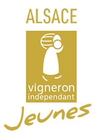 Logo Alsace Vigneron Indépendant Jeunes