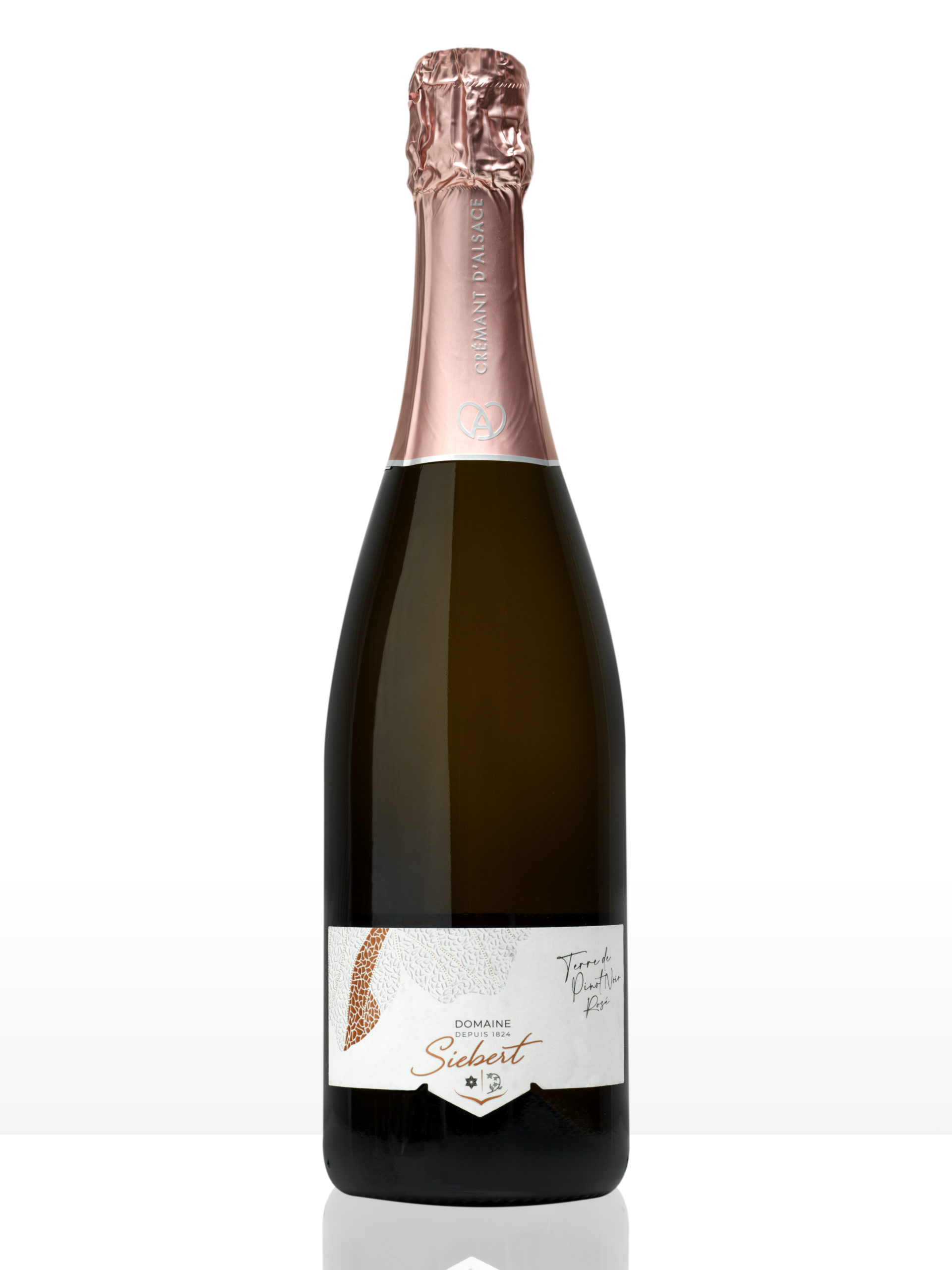 Terre de Pinot noir rosé