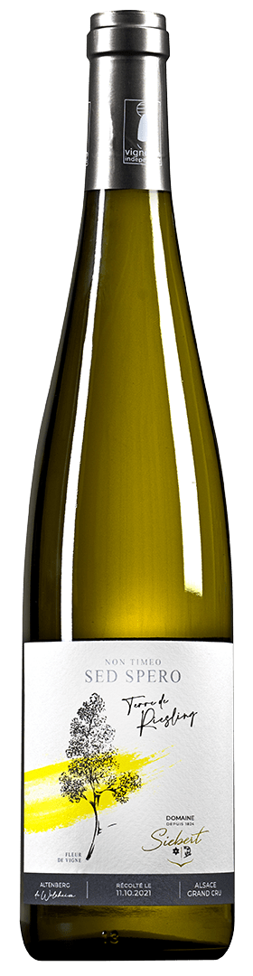 Terre de Riesling