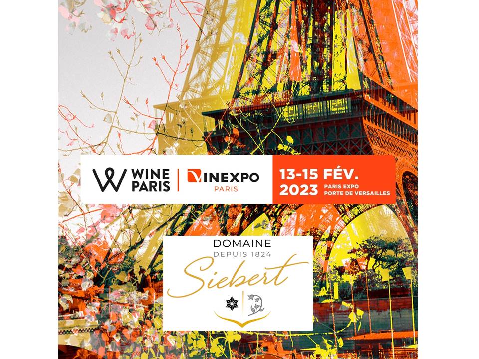 WineParis 2023