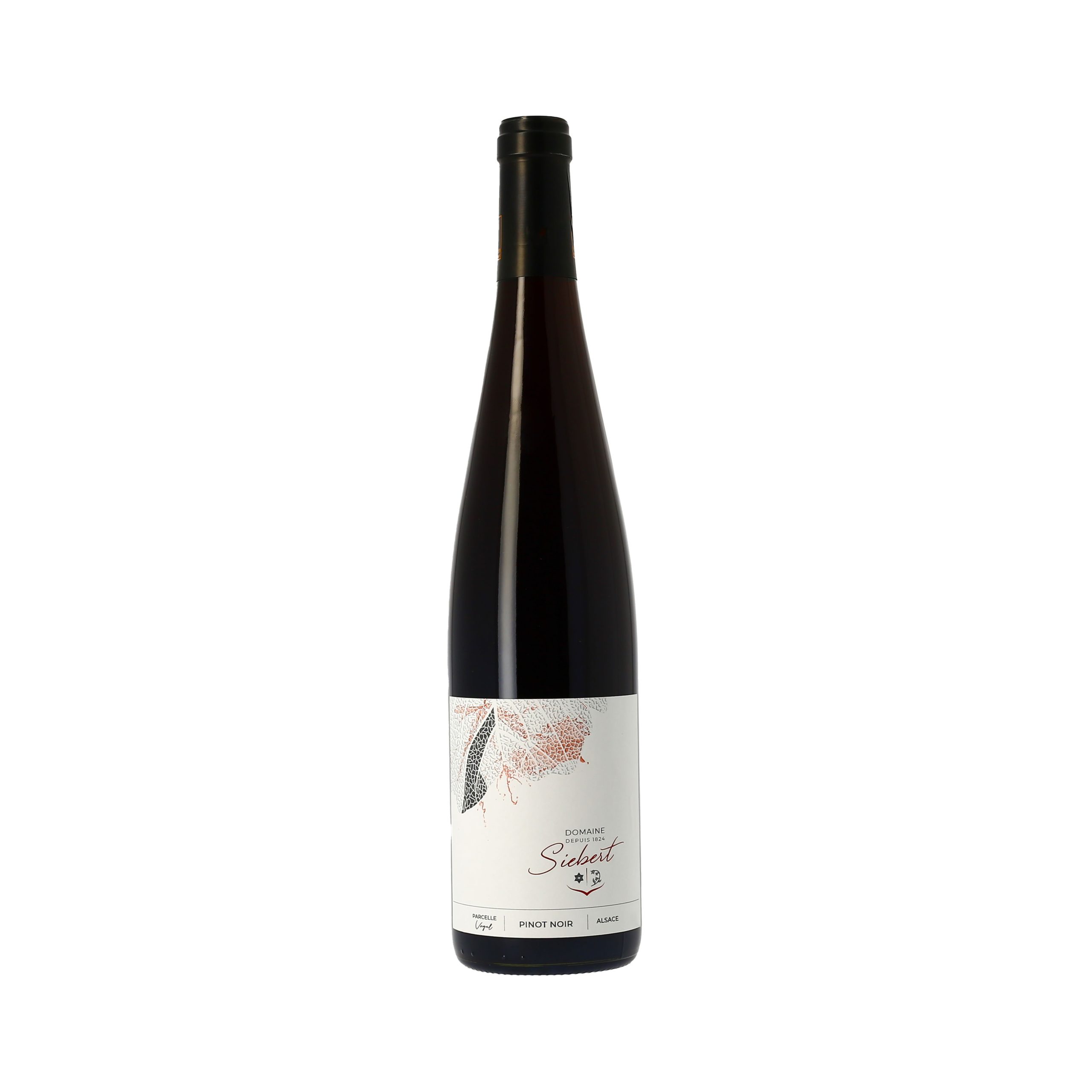 Pinot noir Parcelle Voegel