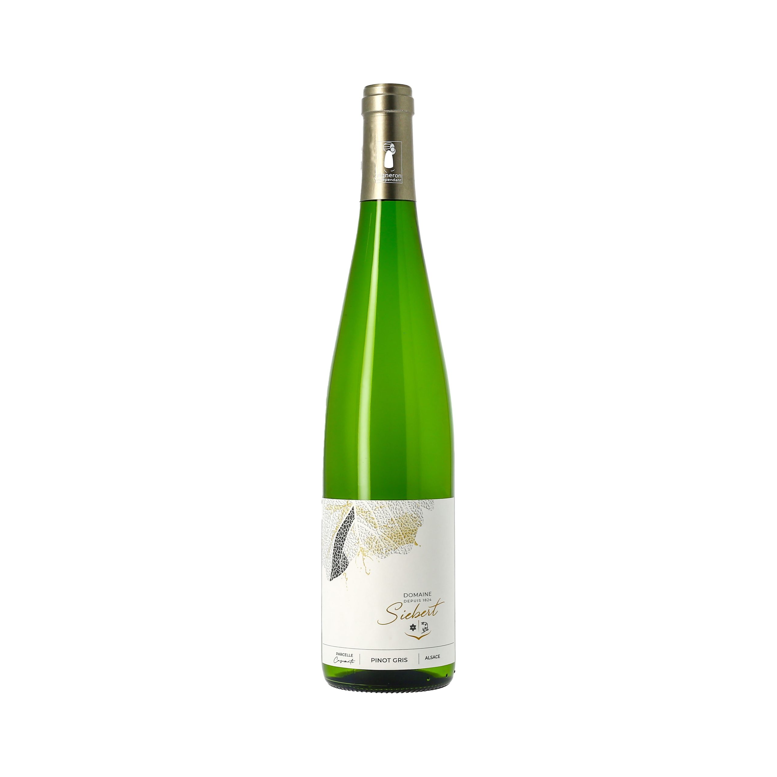 Pinot gris parcelle Casemate